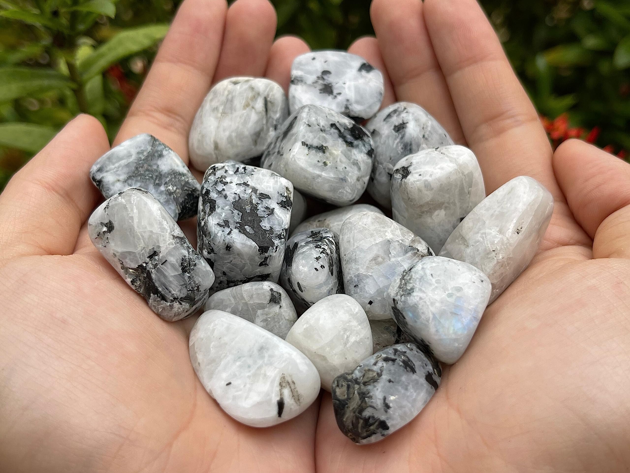 GAF TREASURES moonstone stones for energy work and pocket carry.