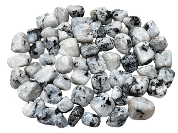 GAF TREASURES Rainbow Moonstone tumbled stones for calm energy and crystal grids.
