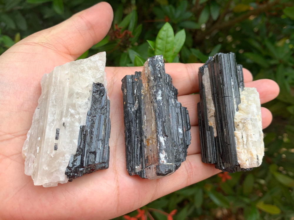 GAF Treasures cabbing-ready rough stone for cutting, tumbling, and polishing