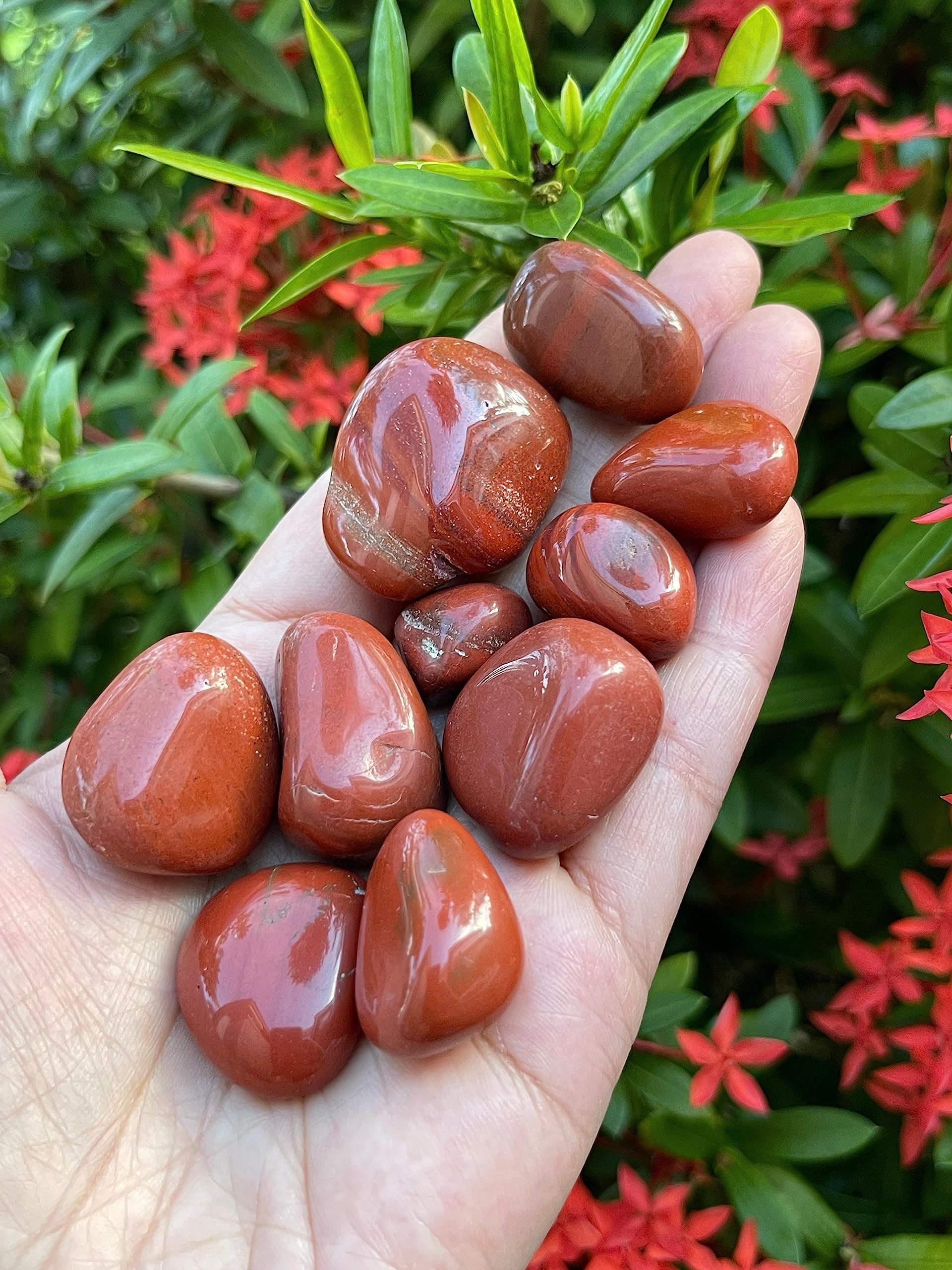 GAF TREASURES Red Jasper stones in hand for personal grid work