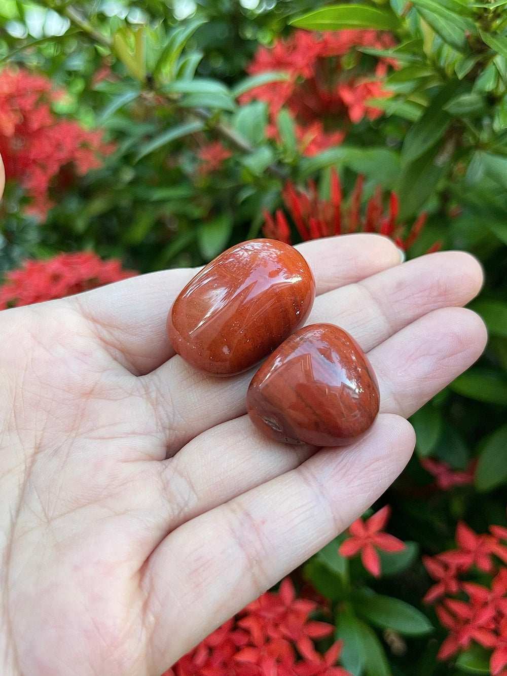 Varied sizes of Red Jasper stones ideal for therapy and decor