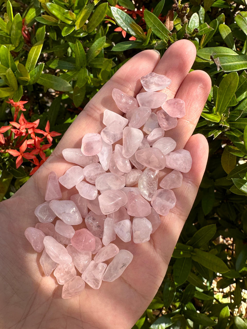 GAF Treasures rose quartz chips semi-tumbled with smooth edges for decorative accents.