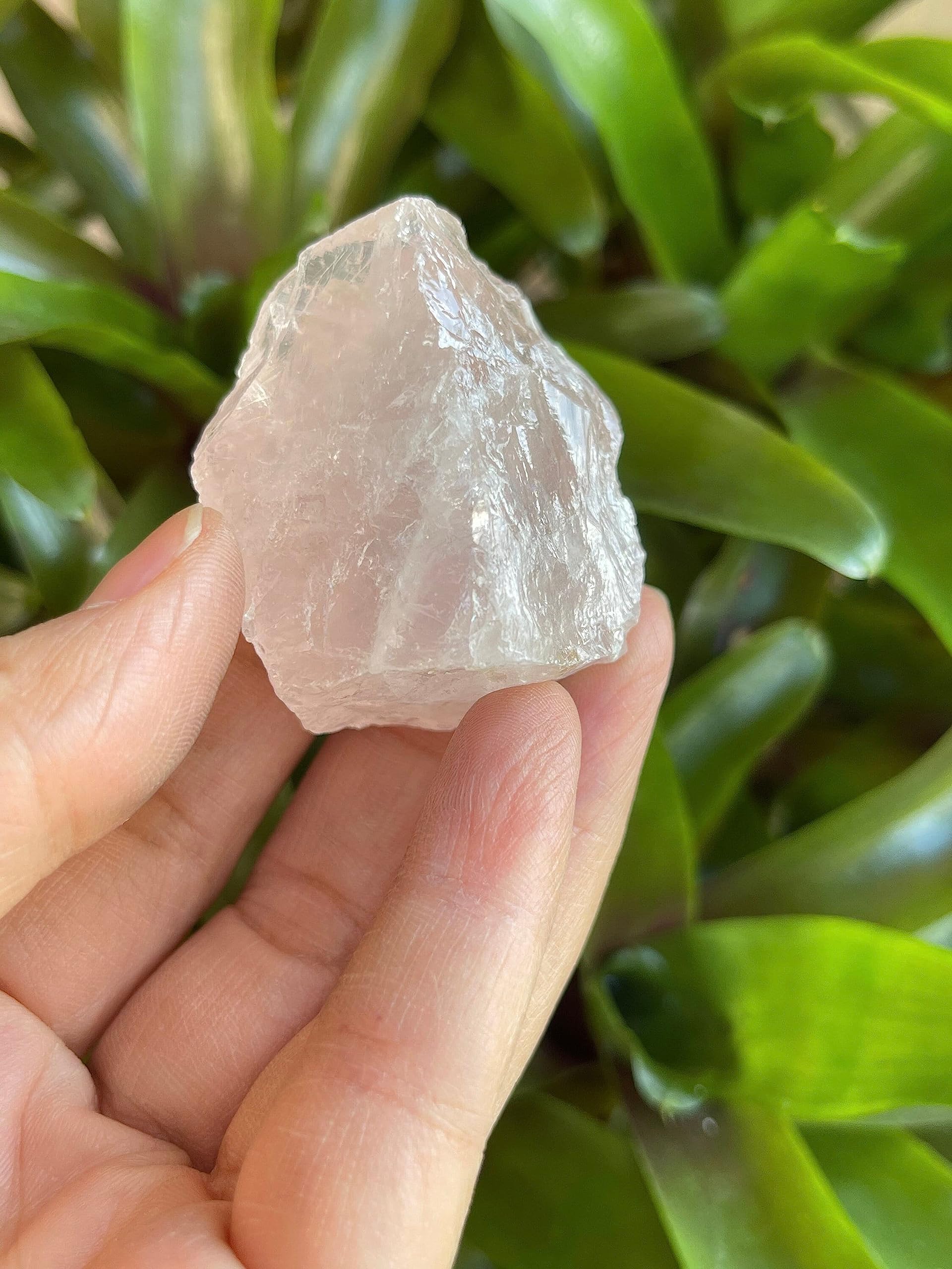 GAF TREASURES Rose Quartz loose stones for meditation and display.