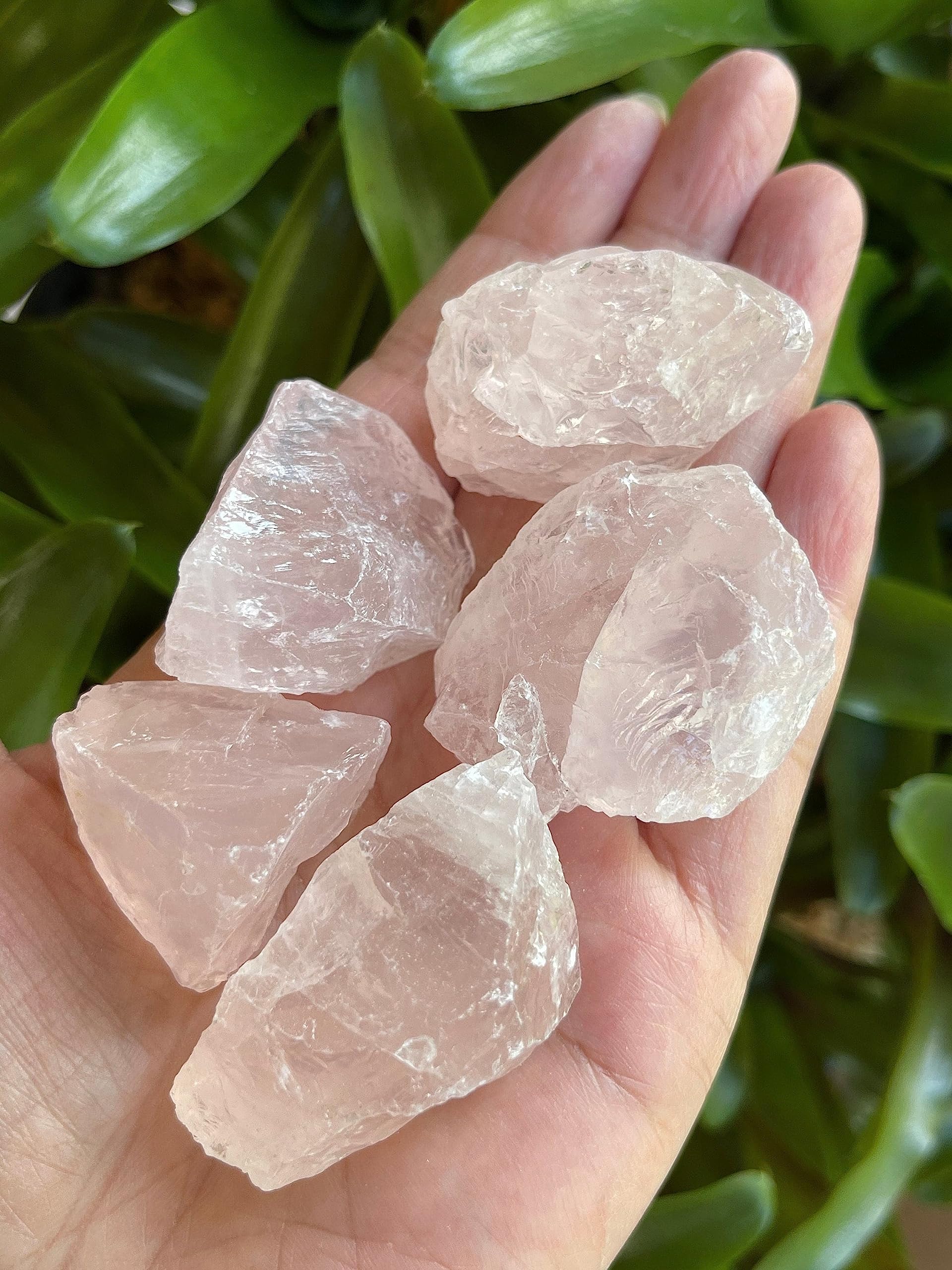 GAF TREASURES Rose Quartz rough stones for cabbing and polishing.