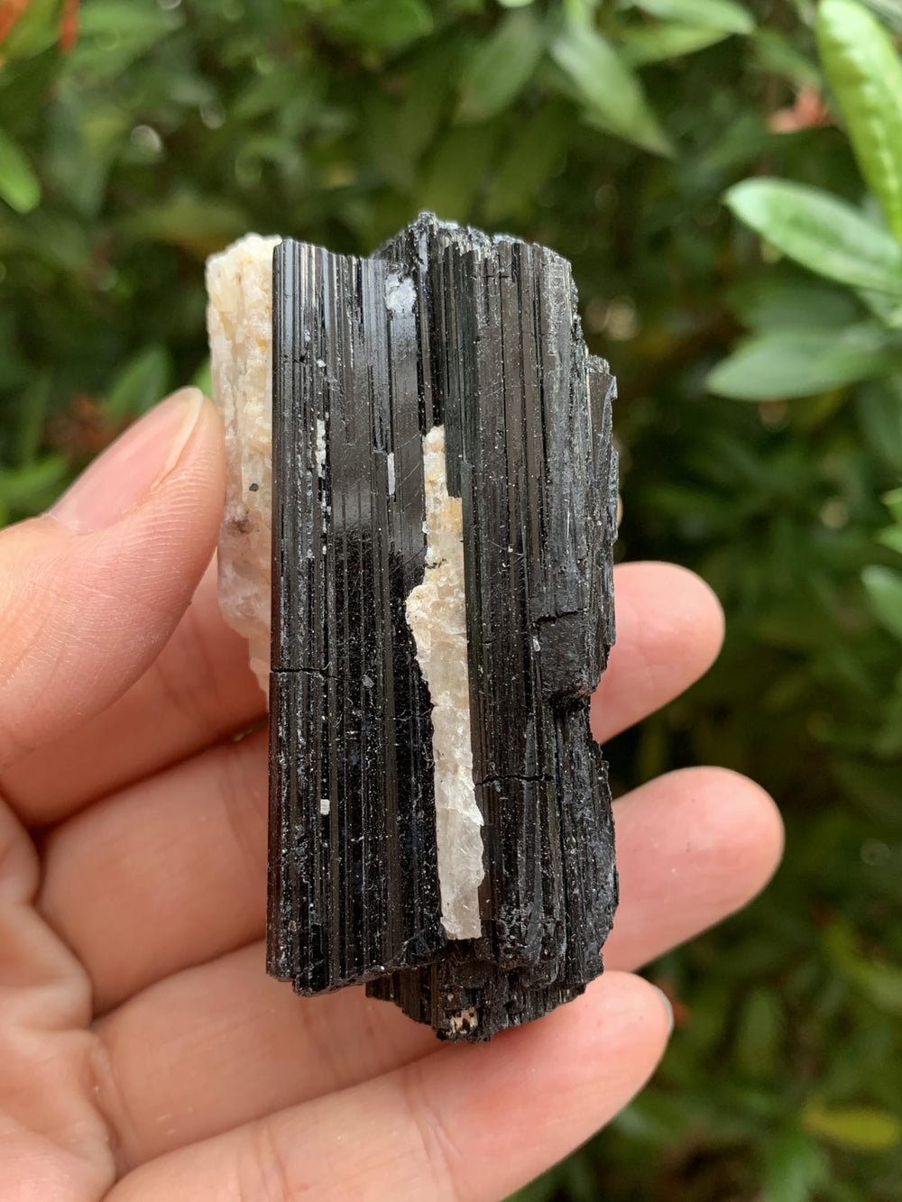 GAF Treasures rough black tourmaline quartz stone ideal for lapidary projects