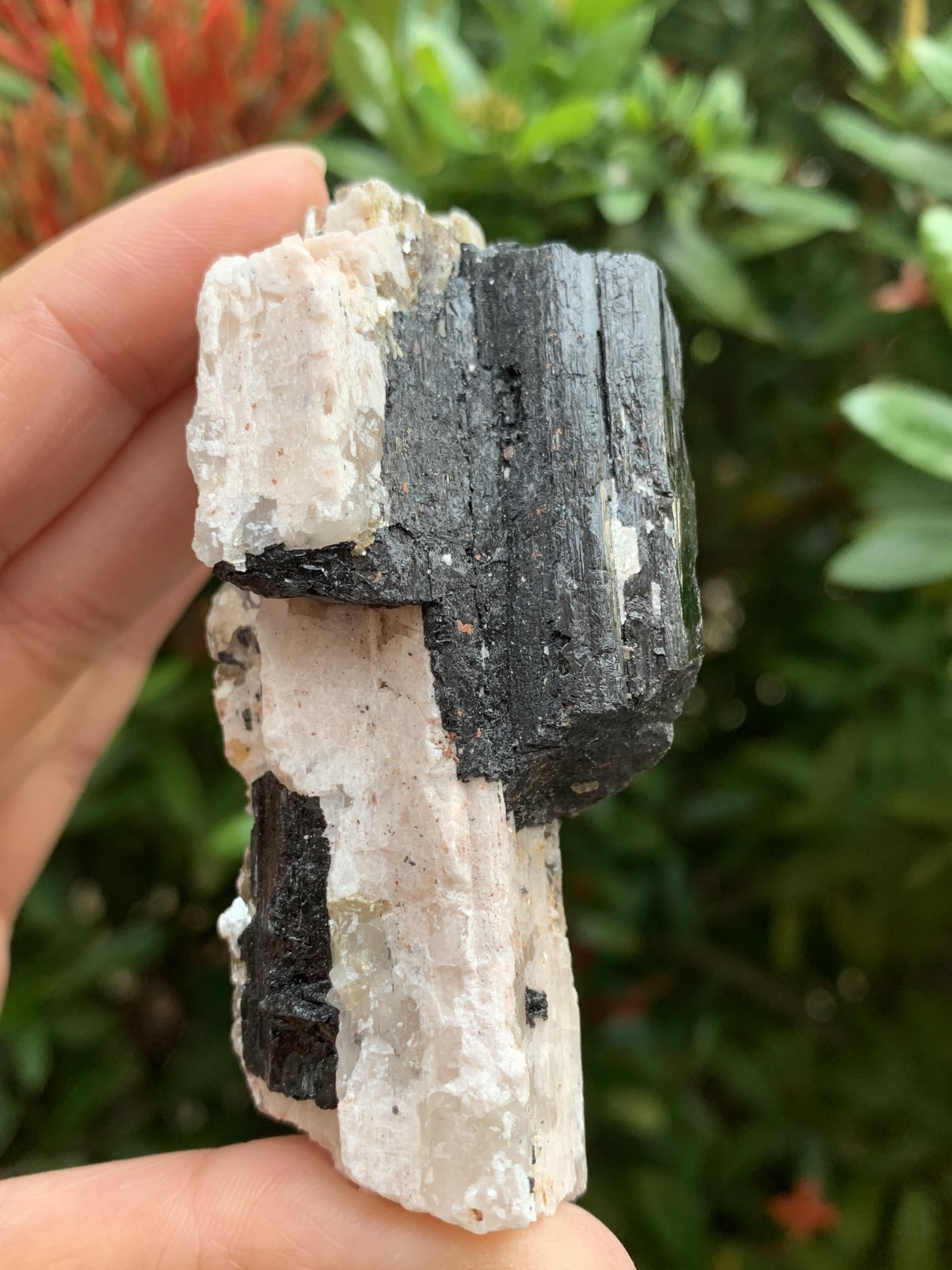GAF Treasures raw quartz-tourmaline piece for collecting inspiration