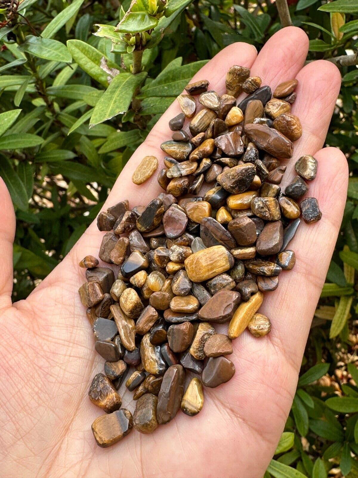 GAF TREASURES crushed undrilled tiger eye close-up suitable for DIY projects
