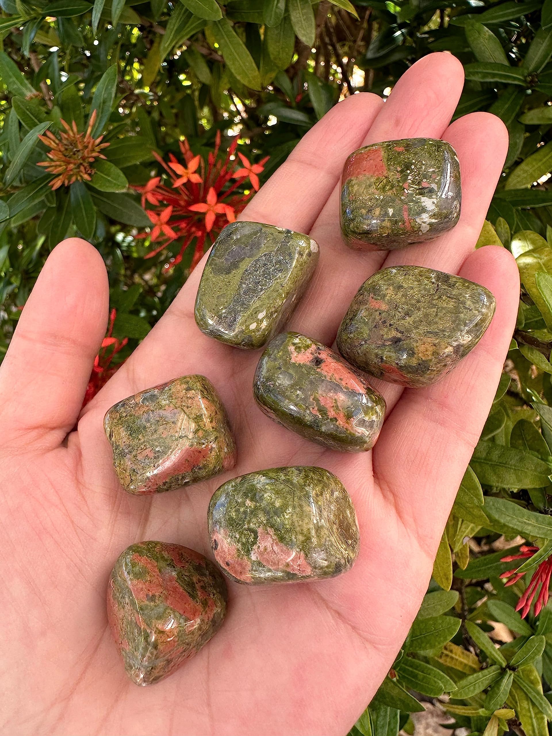 GAF TREASURES half-pound unakite bundle with varied sizes