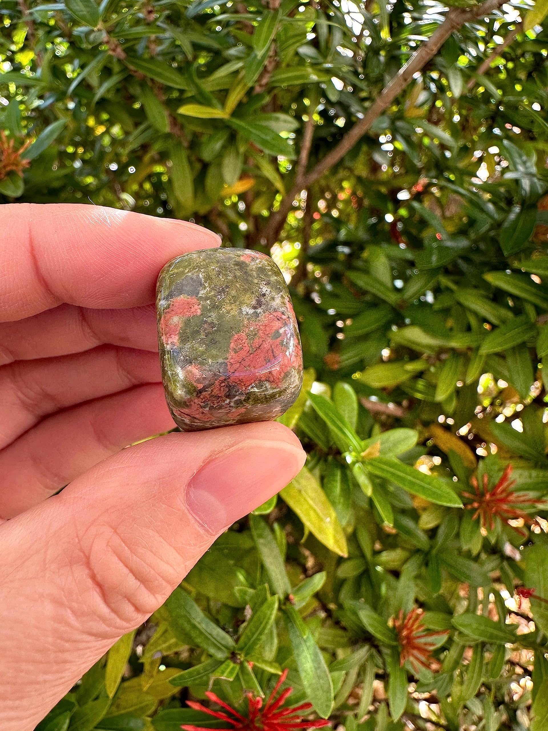 GAF TREASURES polished Unakite variants showing color variety for crystal grids