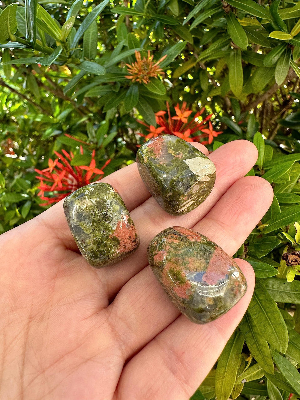 GAF TREASURES unakite stones in a grid layout for energy work and focus