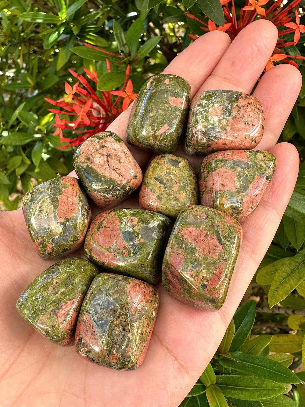 GAF TREASURES tumbled unakite stones with textured edges and polish