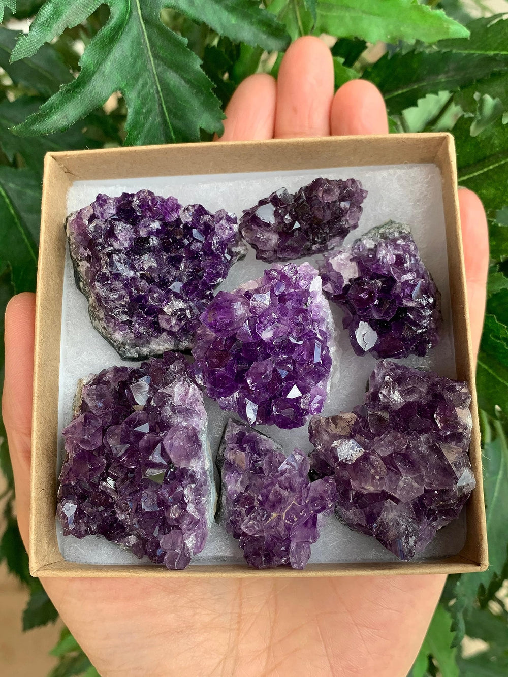 GAF TREASURES Unique amethyst clusters in varied forms to brighten any vignette.