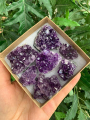 GAF TREASURES Uruguayan amethyst geode collection highlights vibrant purple tones for meditation spaces.