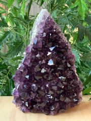 GAF TREASURES Uruguayan deep purple amethyst cluster for display and ambiance