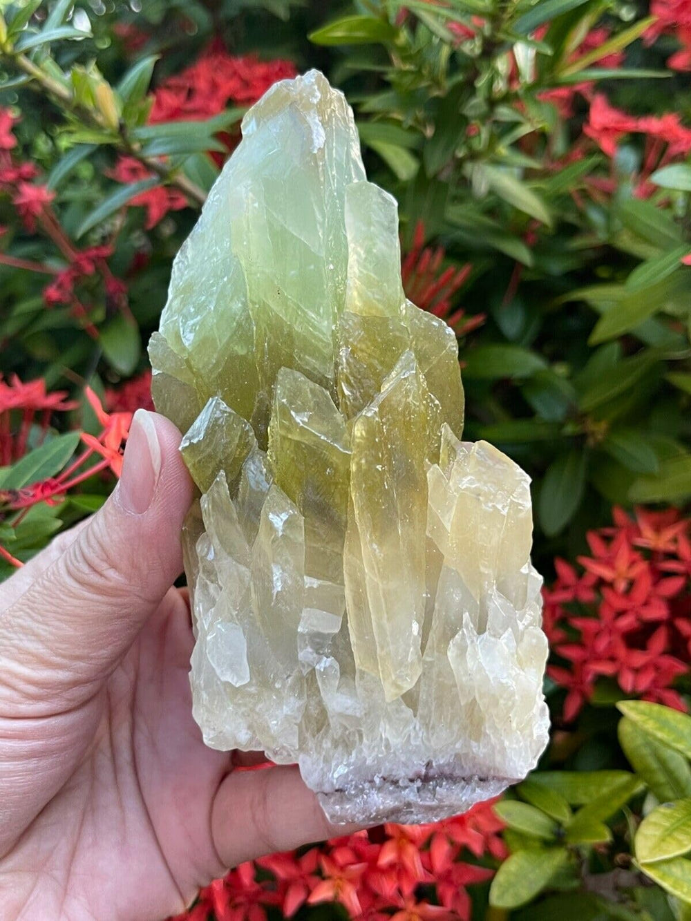 GAF TREASURES XL green calcite raw stone close-up shows natural patterns.