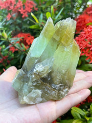 GAF TREASURES XL green calcite raw stone front view, ideal for display and collection.