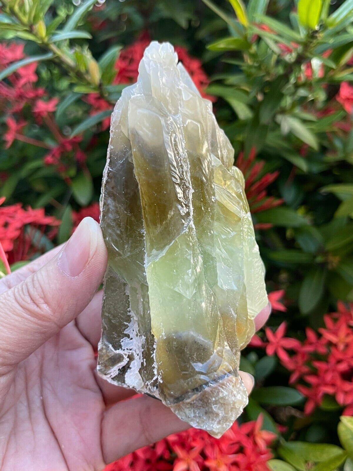 GAF TREASURES XL green calcite raw stone on shelf displays natural beauty.