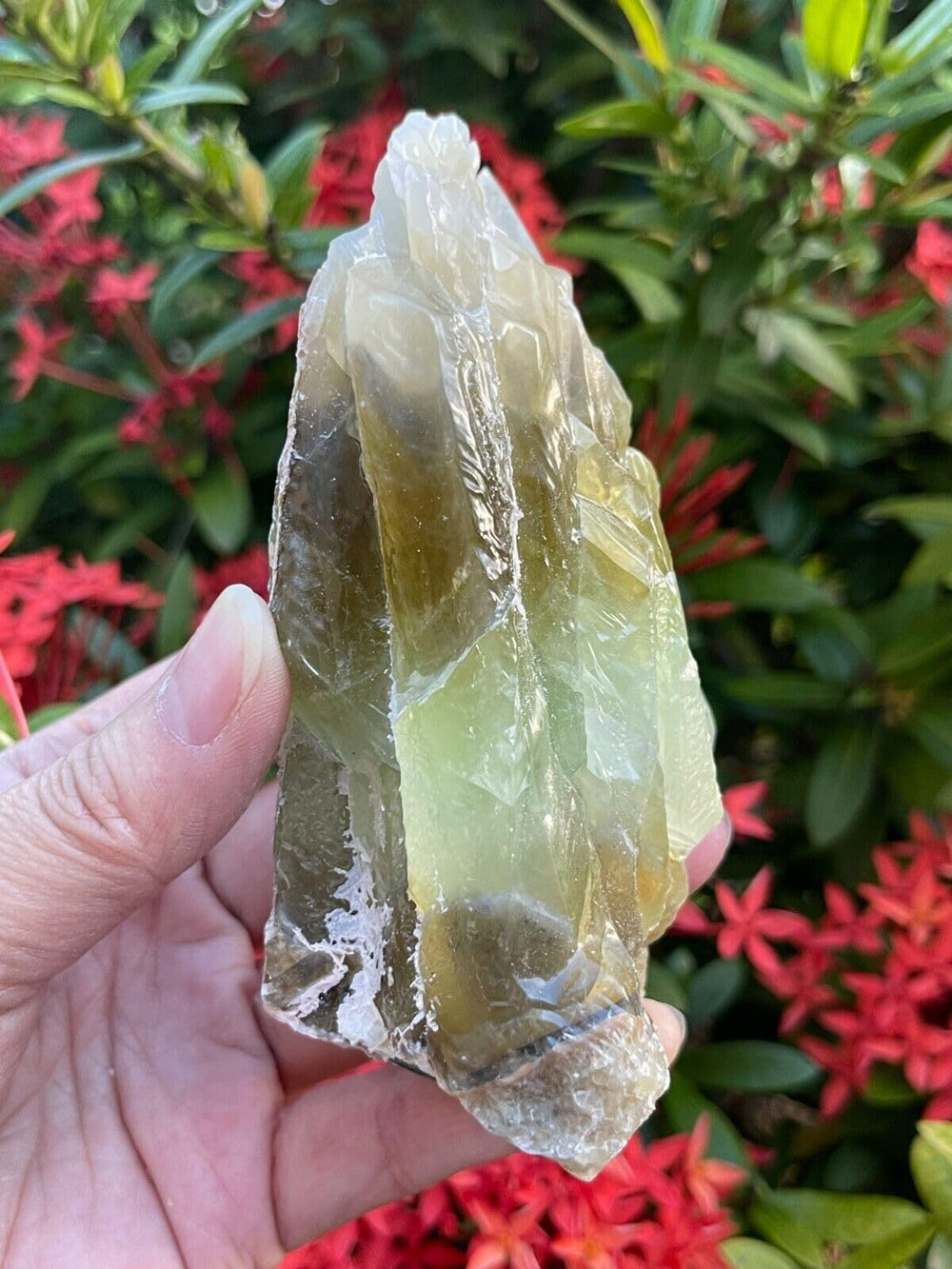 GAF TREASURES XL green calcite raw stone on shelf displays natural beauty.