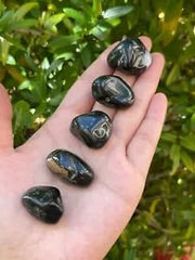 GAF TREASURES black onyx tumbled stones in front view, polished and glossy.