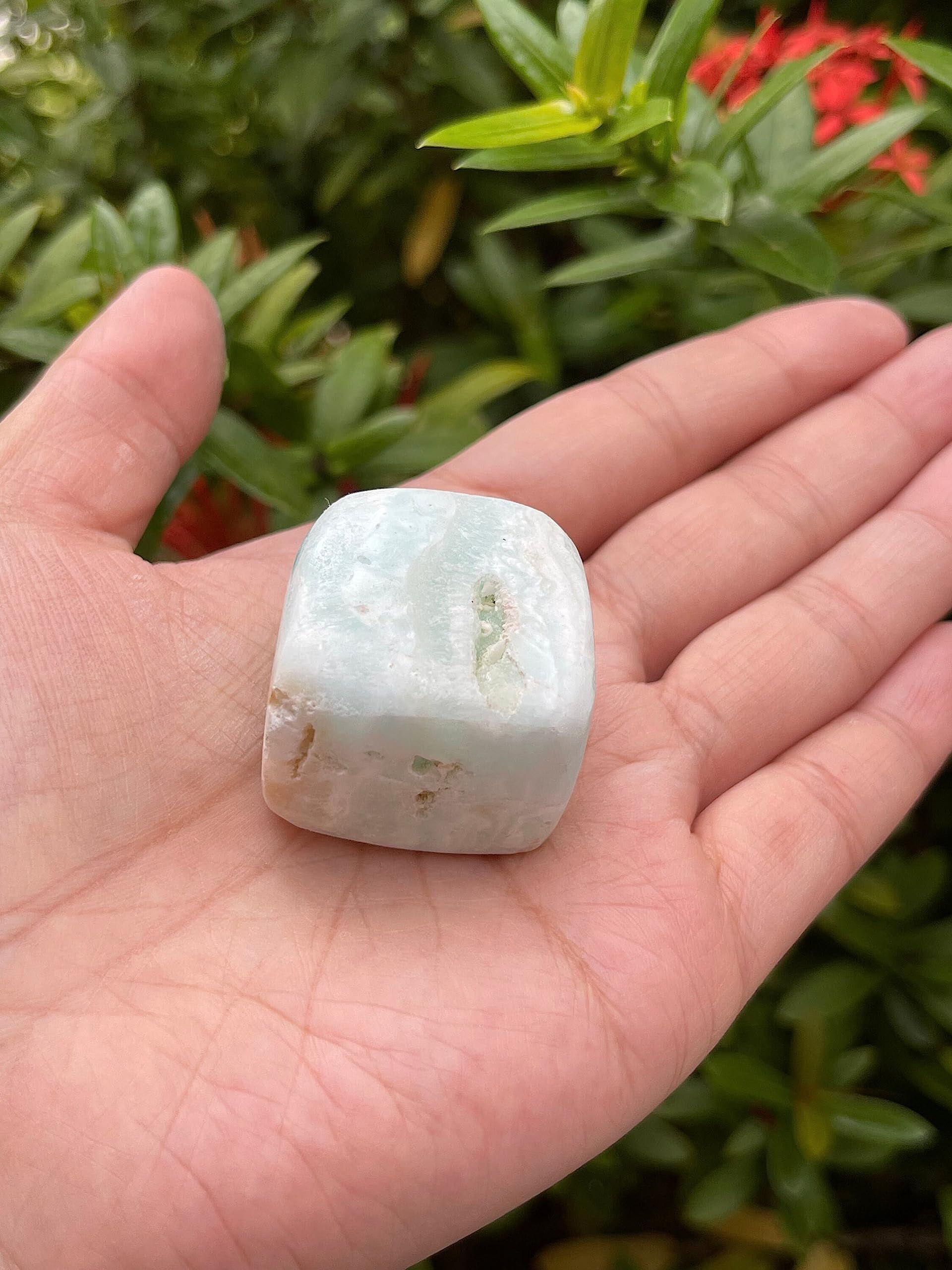 GAF TREASURES Caribbean Calcite display specimen shows natural holes and character.