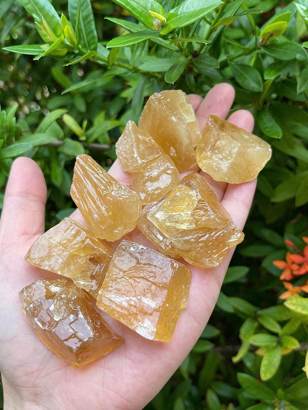 GAF TREASURES honey calcite rough cabbing-ready texture for polishing projects