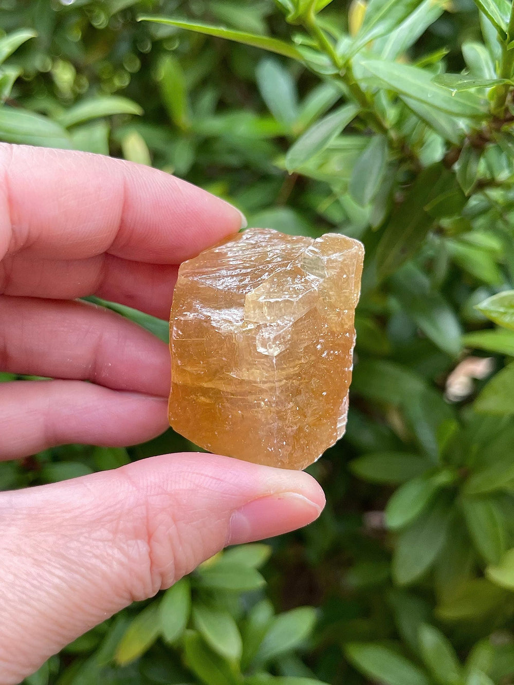 GAF TREASURES honey calcite rough polished edge emphasizes color bands for display