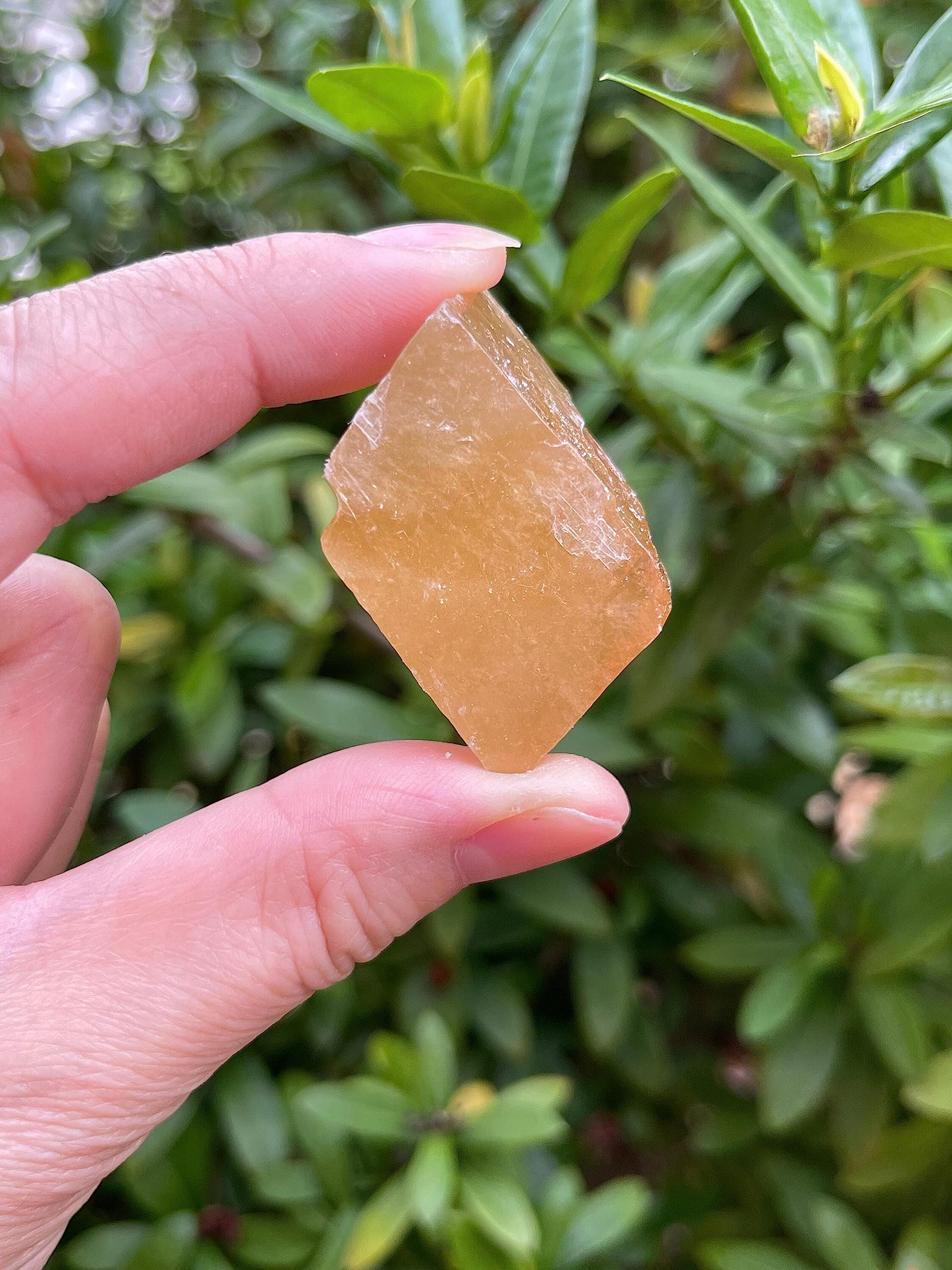 GAF TREASURES honey calcite rough Reiki-ready pieces for energy work