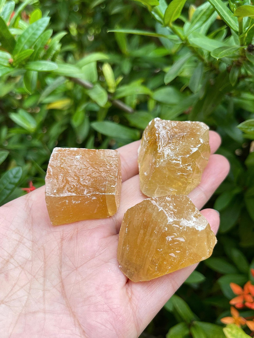 GAF TREASURES honey calcite rough stack for versatile display and crafting
