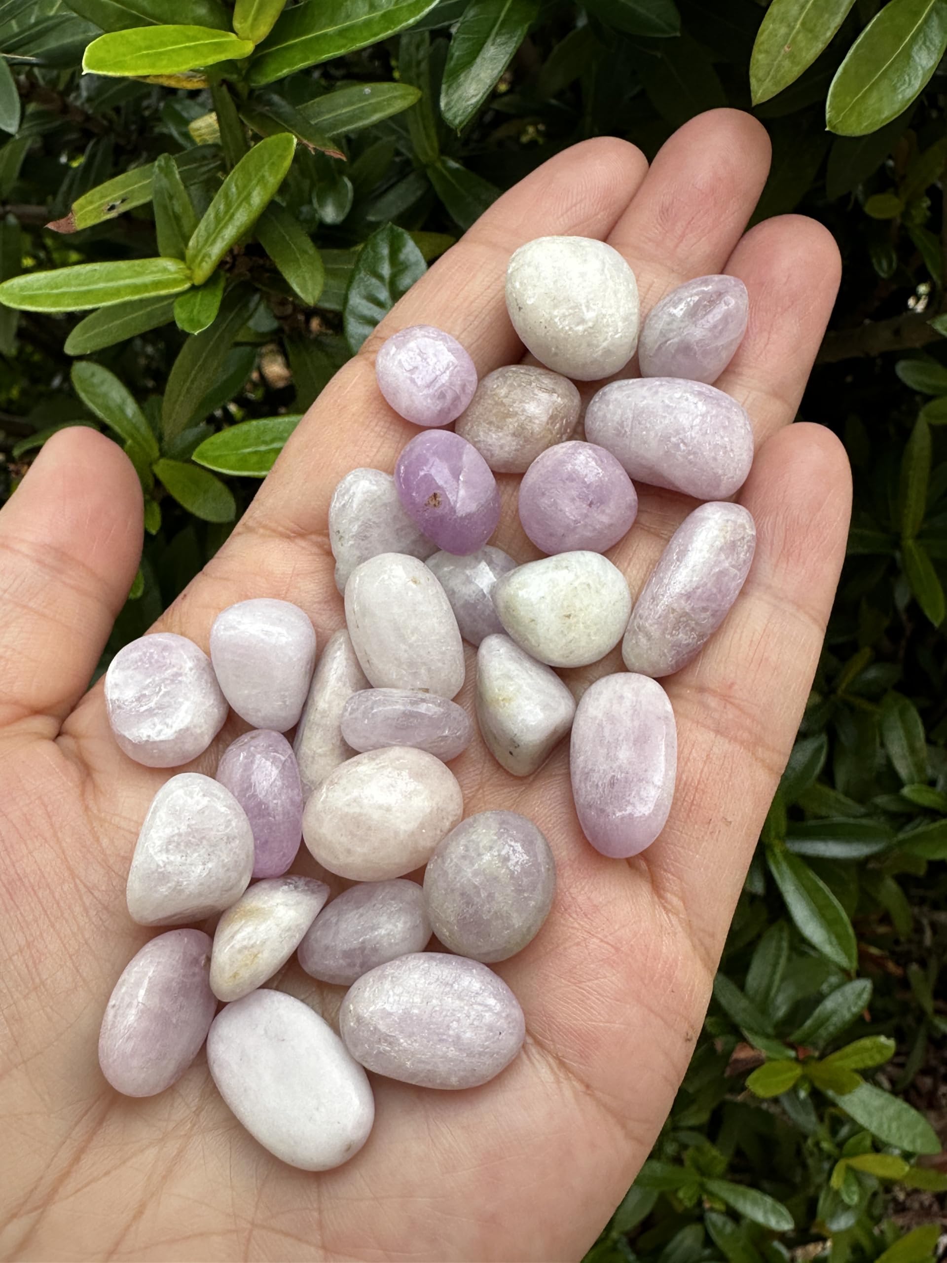 GAF TREASURES Grade A Kunzite quality emphasizes clarity and polish.