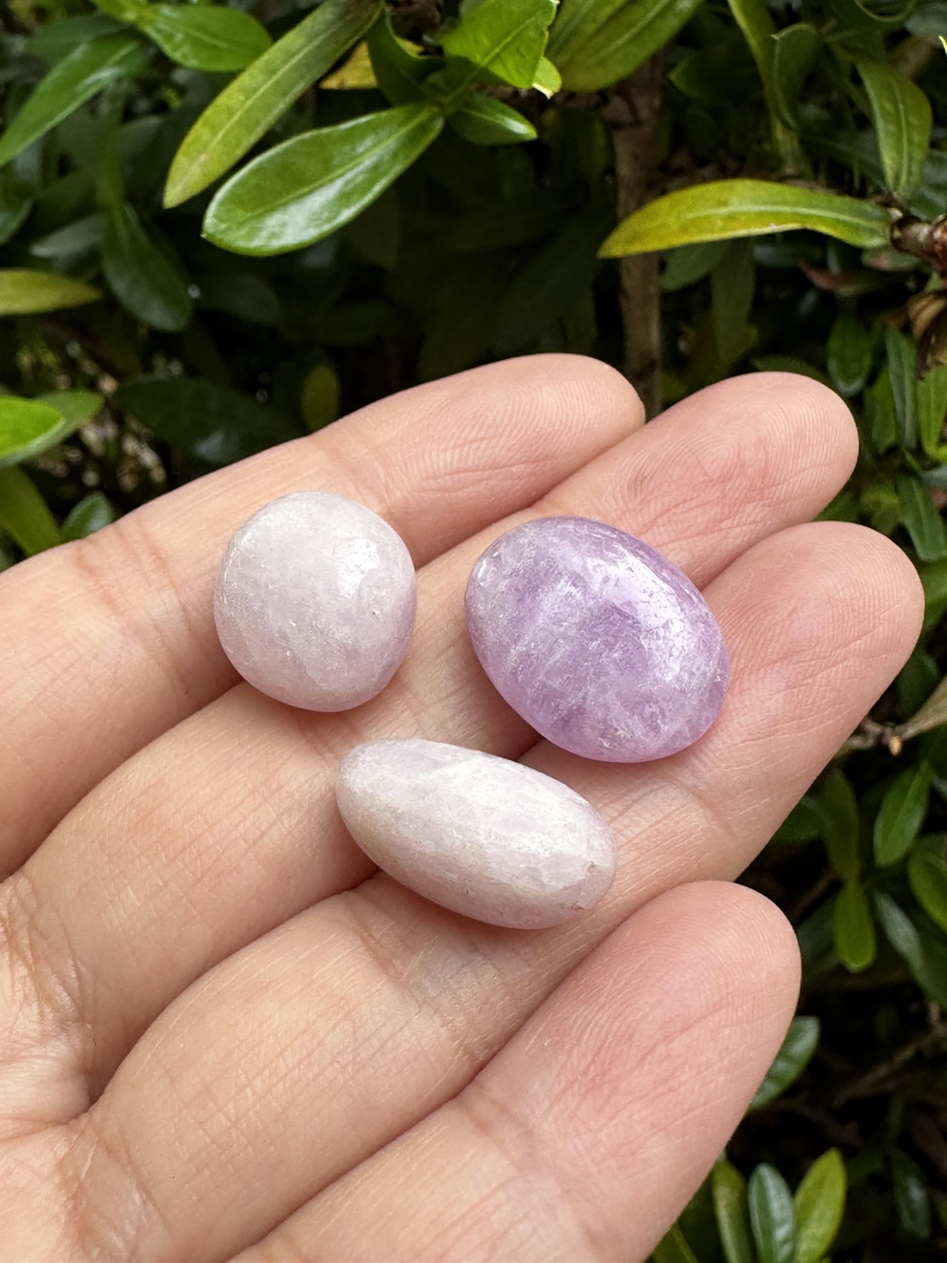 GAF TREASURES Kunzite natural varied colors and patterns across batches.