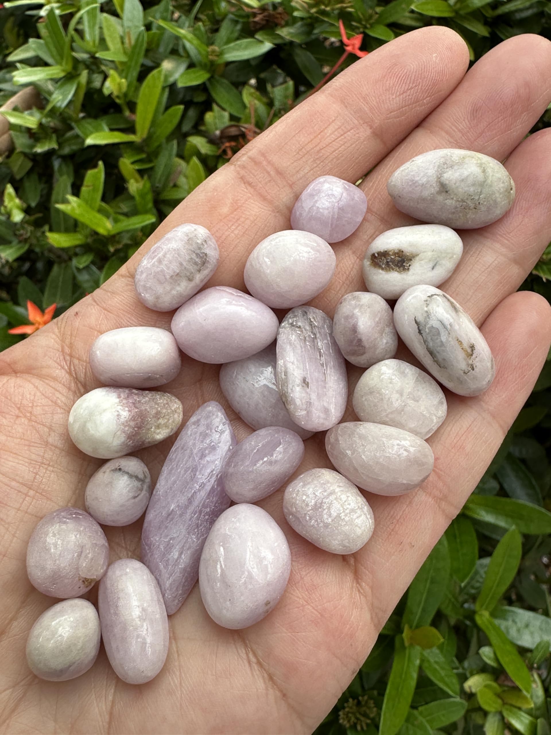 GAF TREASURES Kunzite stones sized 0.4 to 1 inch, ideal for personal pockets.