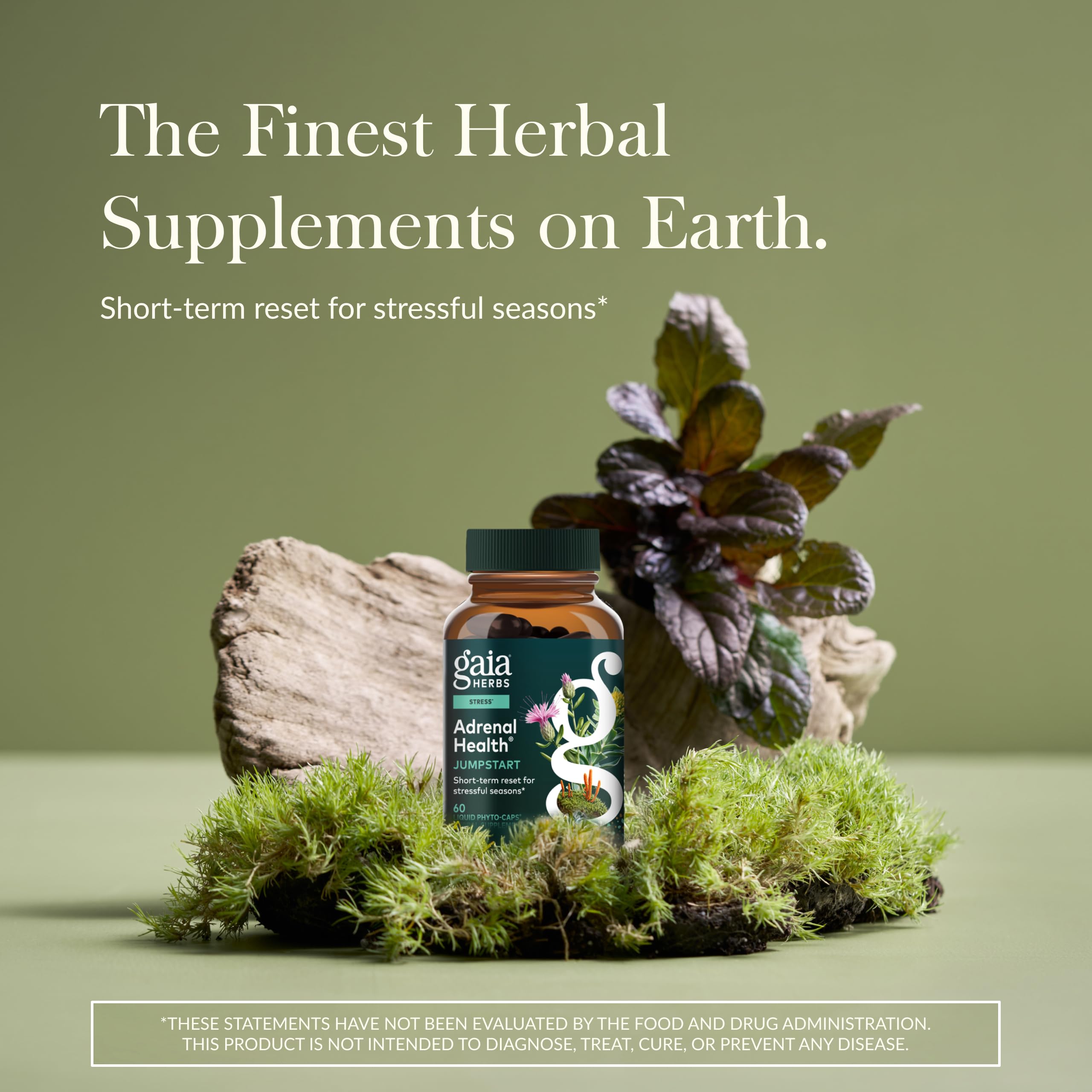 Gaia Herbs Adrenal Health Jumpstart capsules closeup highlights plant-based ingredients