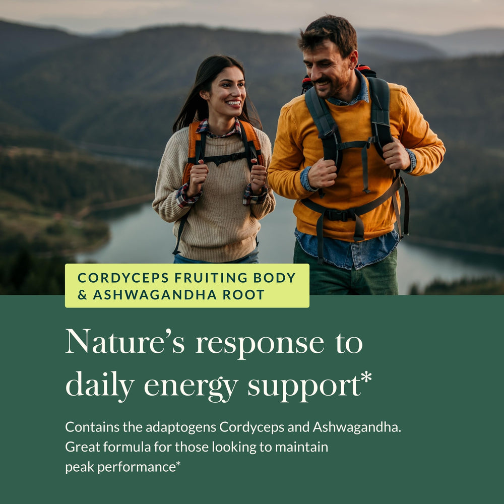 Ashwagandha root focus signals energy support