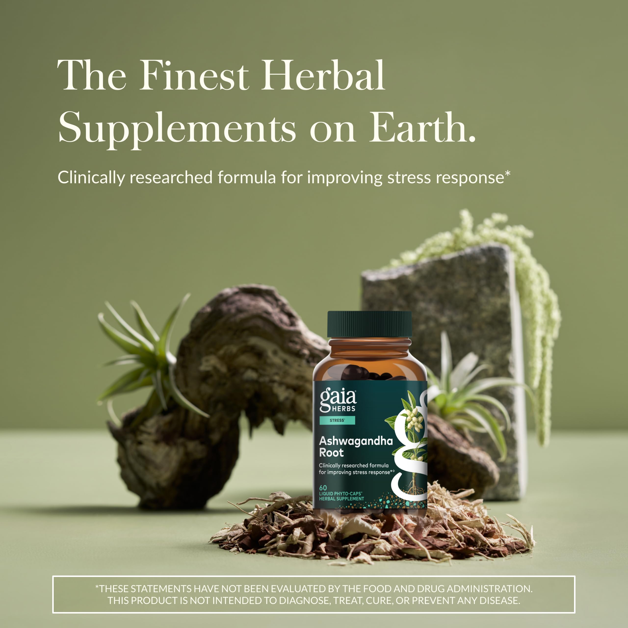 Gaia Herbs Ashwagandha root capsules ready for daytime routine.