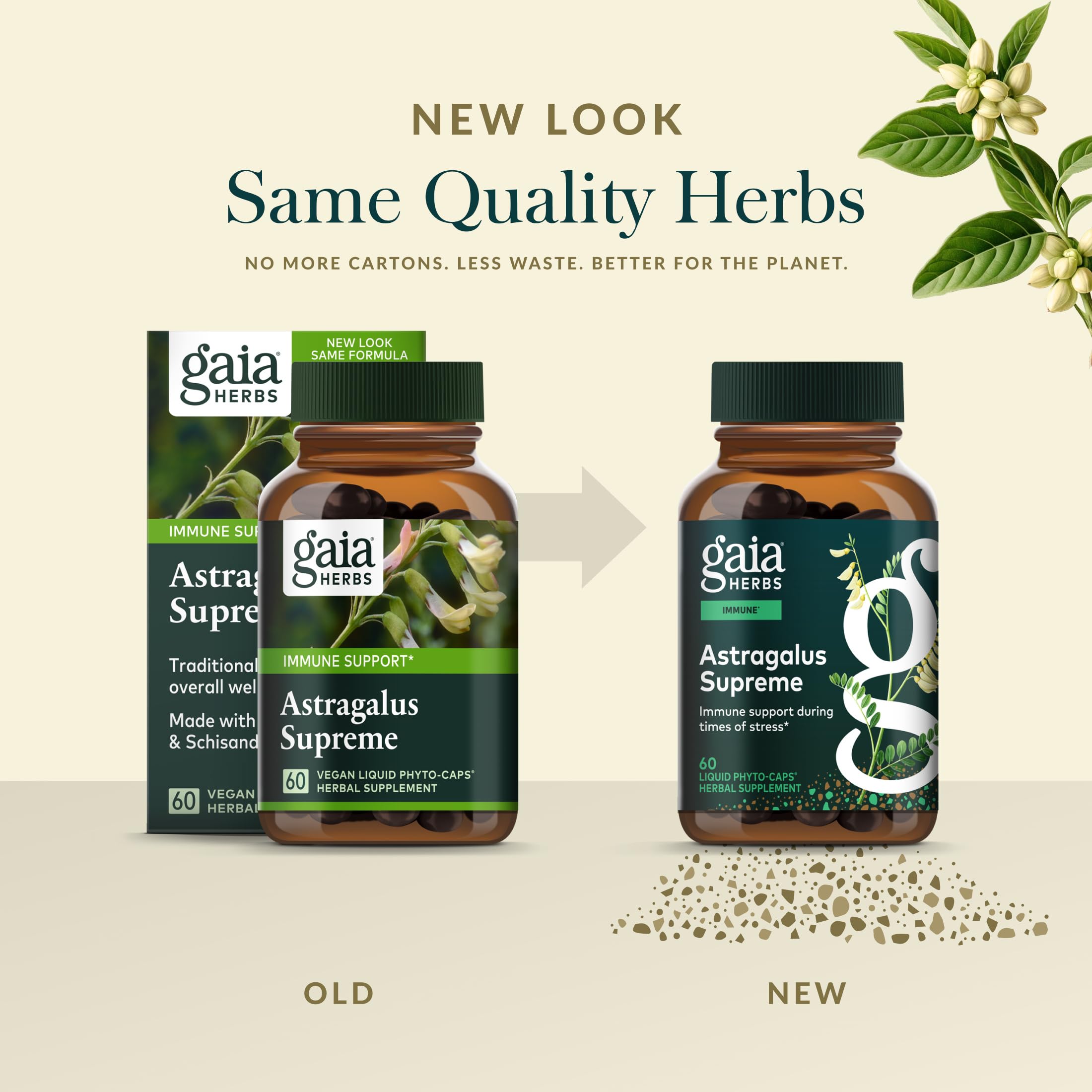 Gaia Herbs ligustrum fruit photo illustrating the botanical ingredient and vitality support
