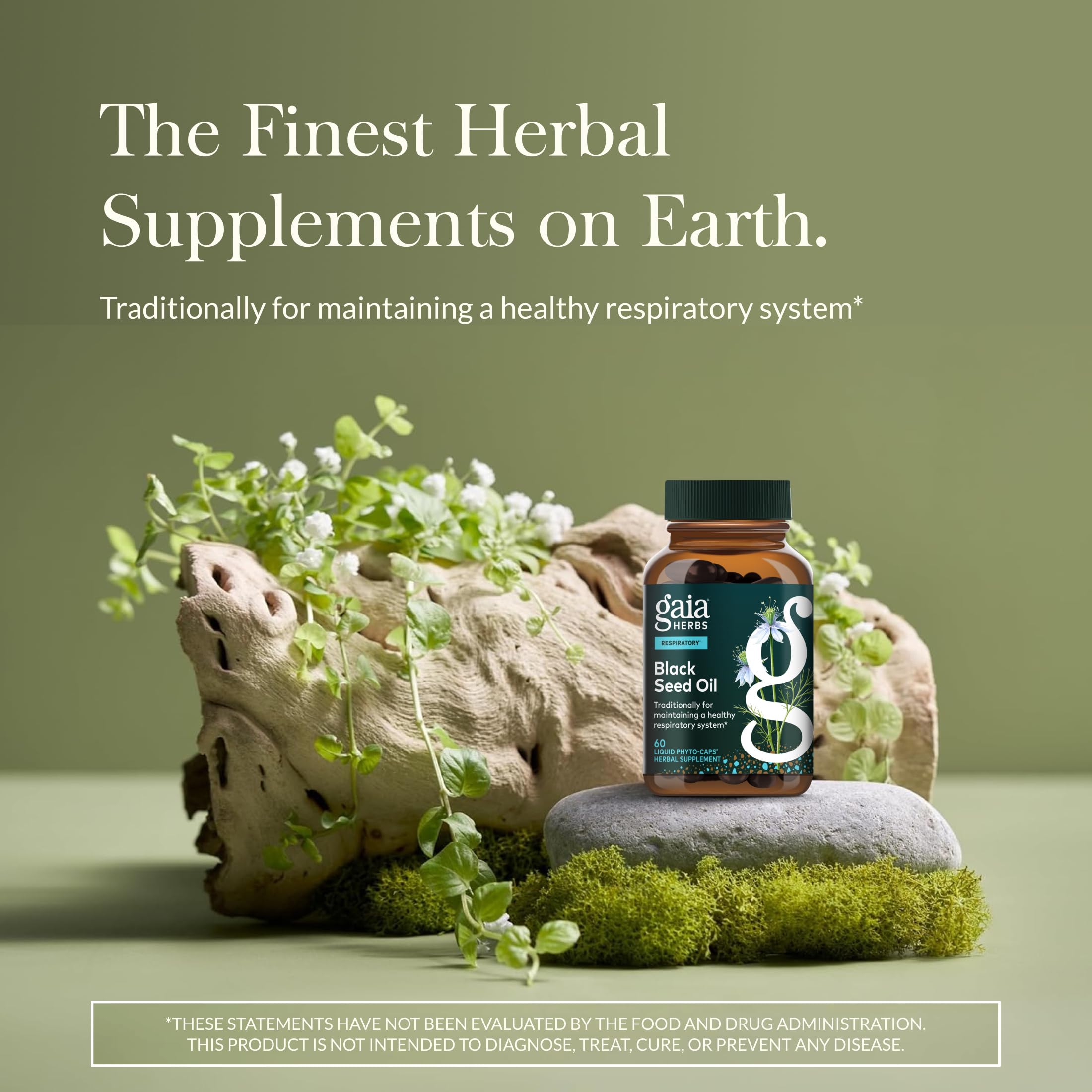 Gaia Herbs Black Seed Oil capsules in open pack ready for daily respiratory support