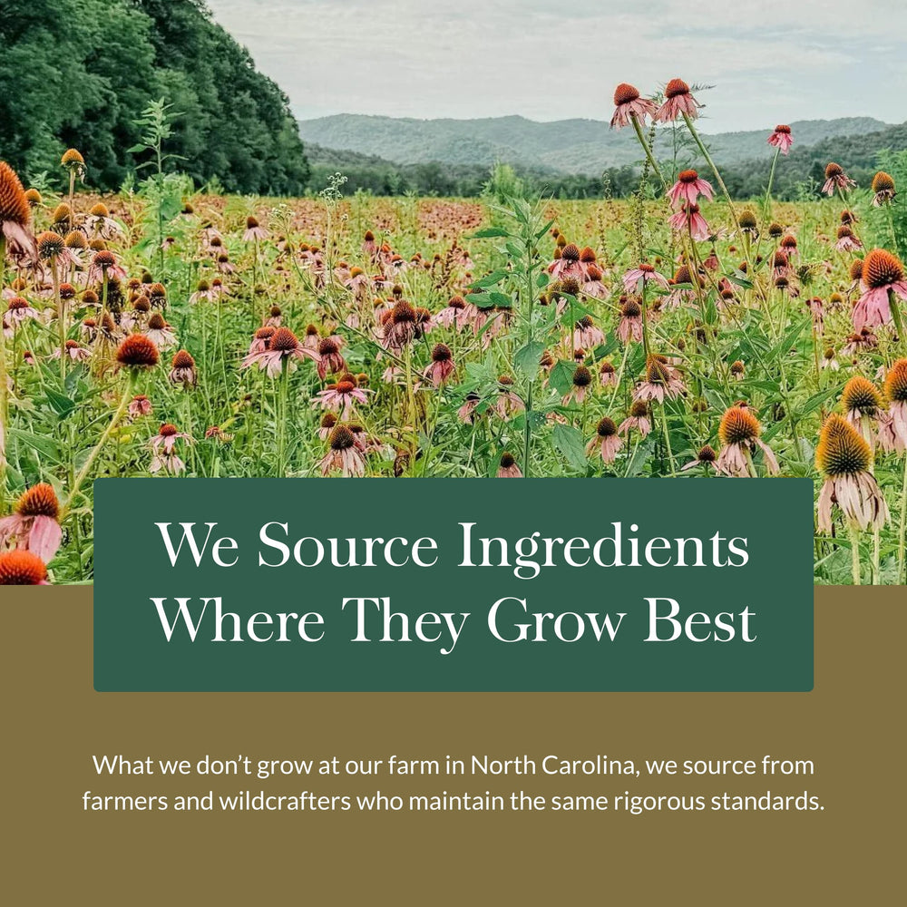 Gaia Herbs Maca Root clean label highlights gluten-free, dairy-free, soy-free ingredients.