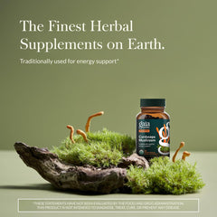 Gaia Herbs Cordyceps label close-up highlighting organic extract