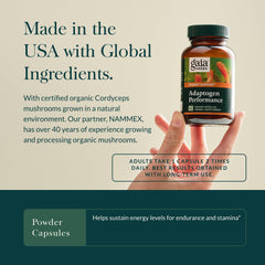 Cordyceps mushroom focus highlights endurance potential
