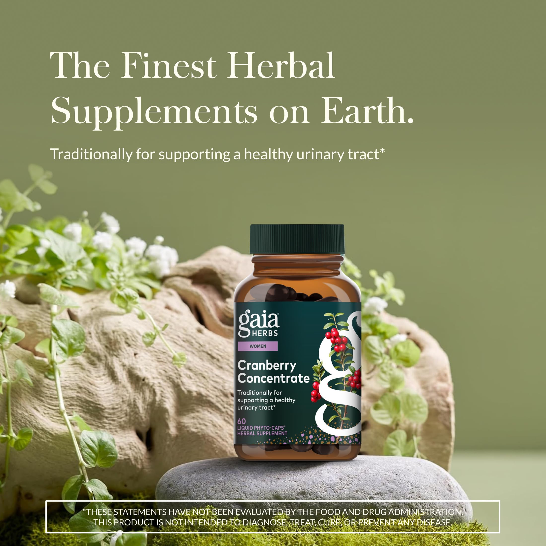 Gaia Herbs Cranberry Concentrate label close-up, highlighting natural ingredients and quality.
