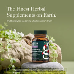 Gaia Herbs Cranberry Concentrate label close-up, highlighting natural ingredients and quality.