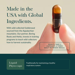 Gaia Herbs Echinacea Goldenseal liquid caps ready for daily immune support