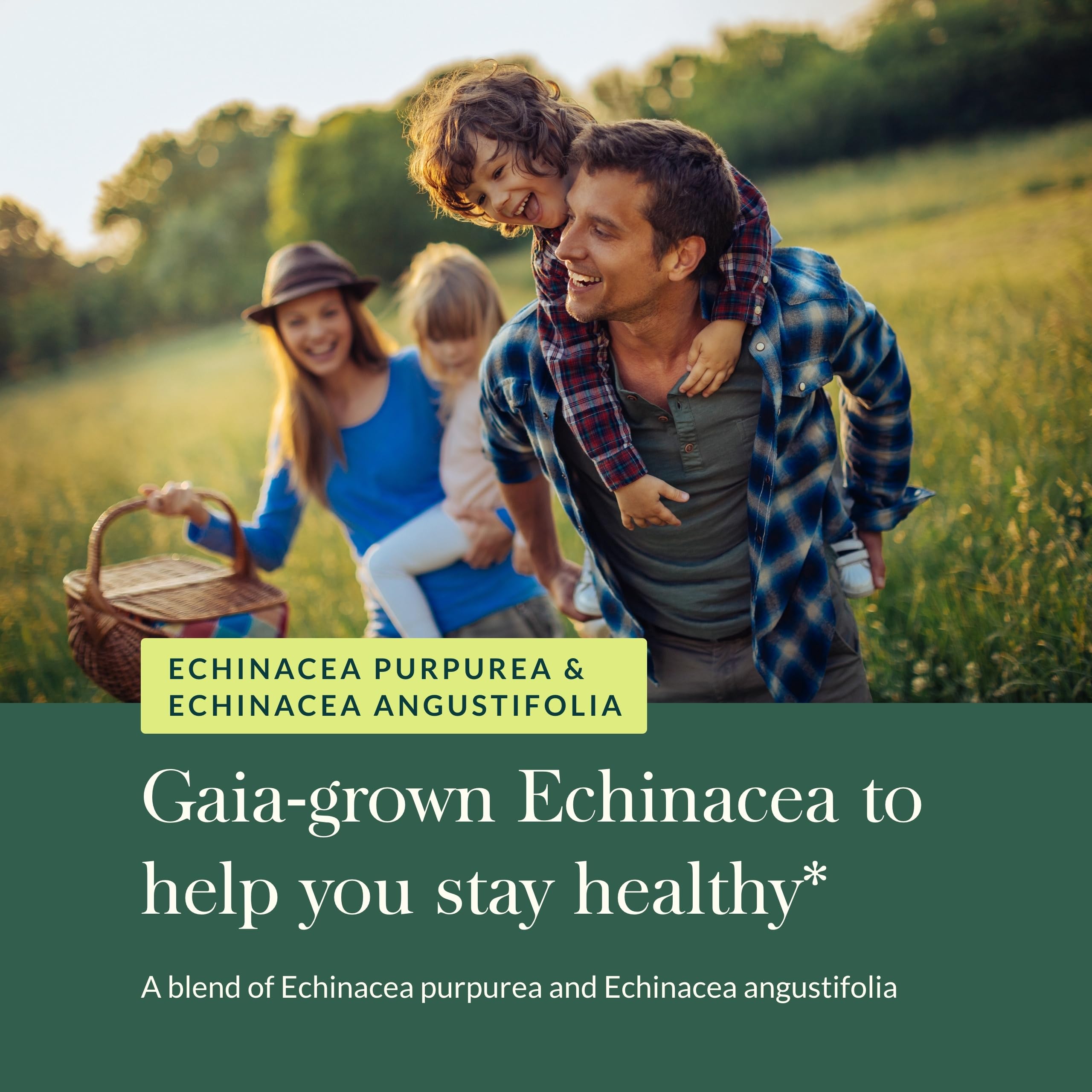 Gaia Herbs Echinacea Supreme packaging box highlighting regenerative farming.