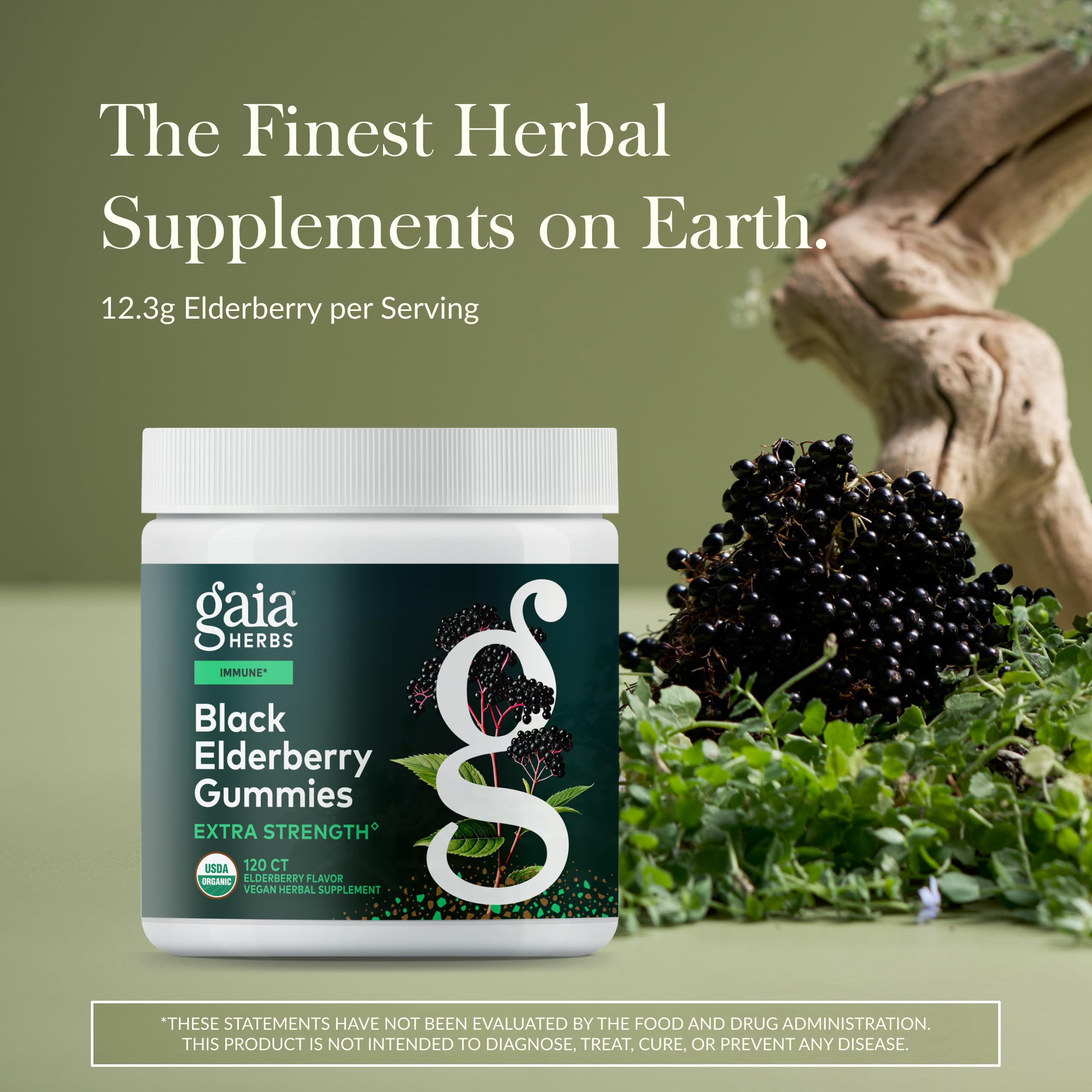 Gaia Herbs Black Elderberry gummies pour highlighting convenient daily supplement for immune health