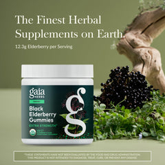 Gaia Herbs Black Elderberry gummies pour highlighting convenient daily supplement for immune health