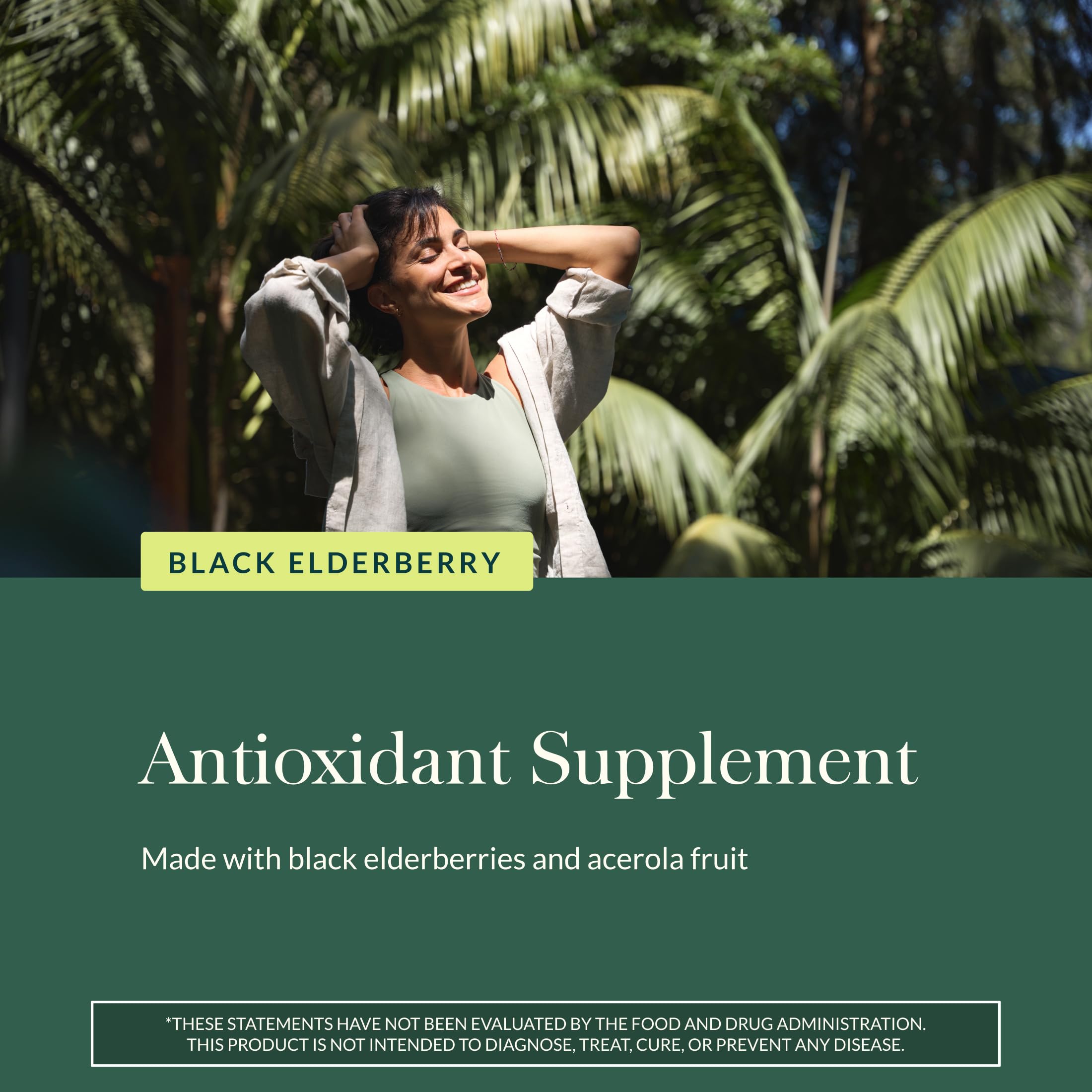 Gaia Herbs elderberry plant (Sambucus nigra) backdrop for natural ingredients