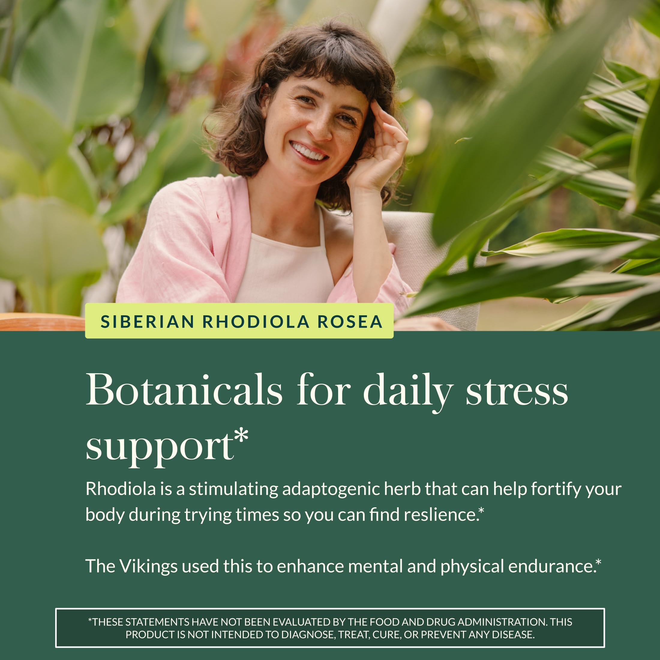Gaia Herbs European extraction partners underline sustainable rhodiola sourcing.