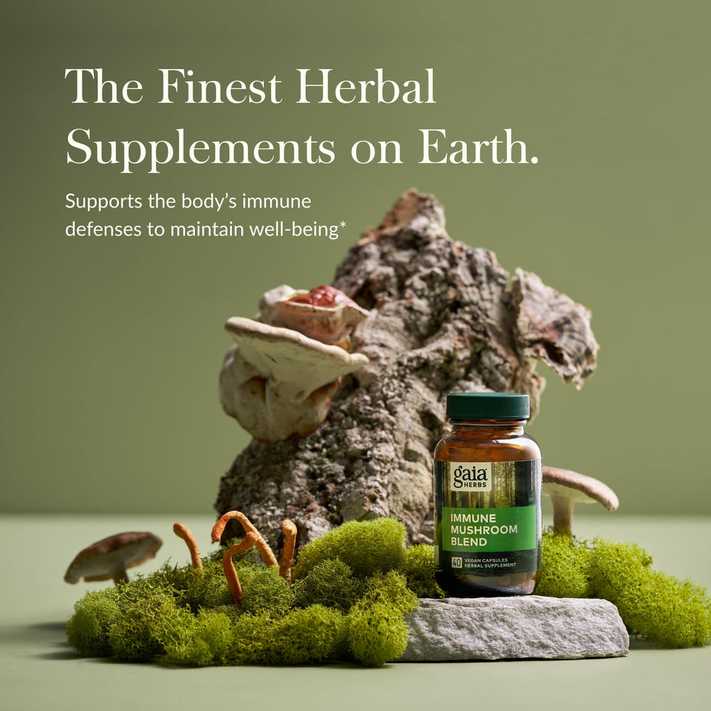 Gaia Herbs Everyday Mushrooms capsules close-up for easy daily use