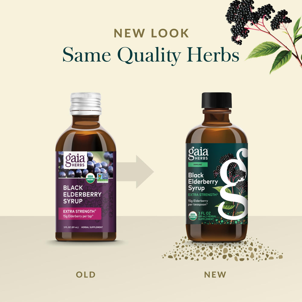 Filtration equipment image showcases concentrated elderberry extract production