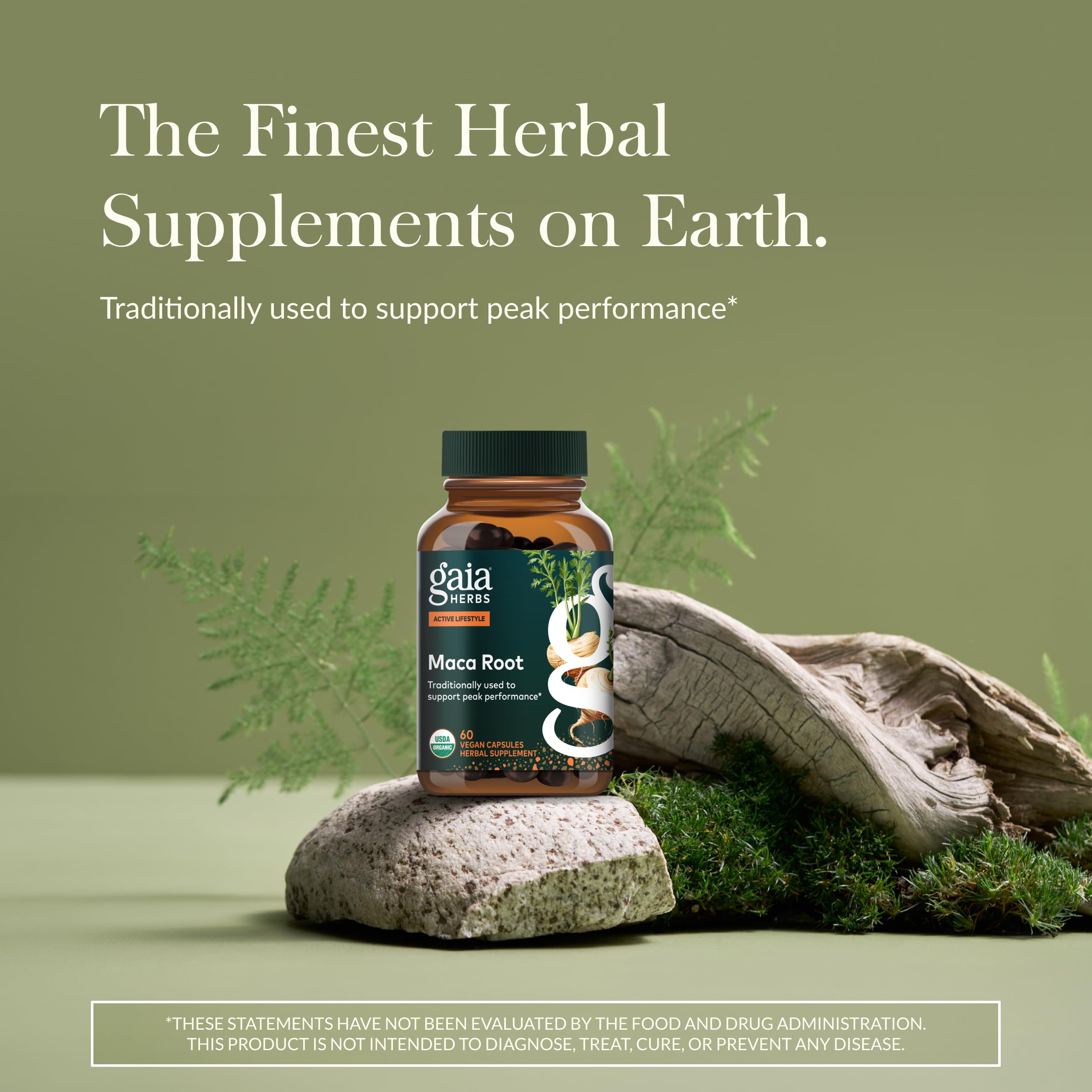 Gaia Herbs Maca Root gelatinized close-up highlights full root profile for easier digestion.